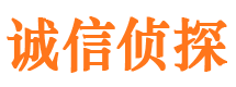 山城市私家侦探